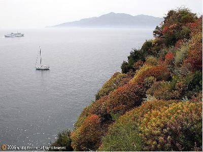 Photo of Others in Santo Stefano