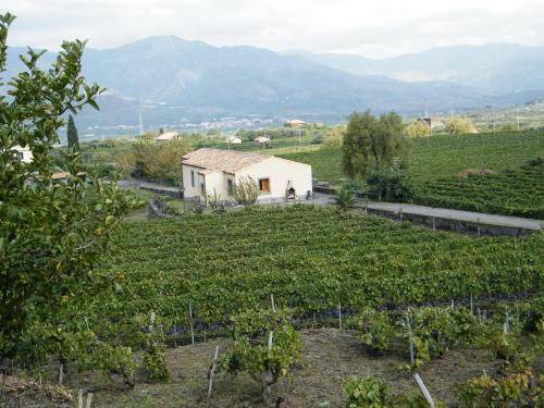 Photo of Others in Passopisciaro
