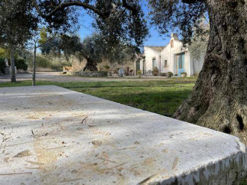 Photo of Others in Chiaramonte Gulfi