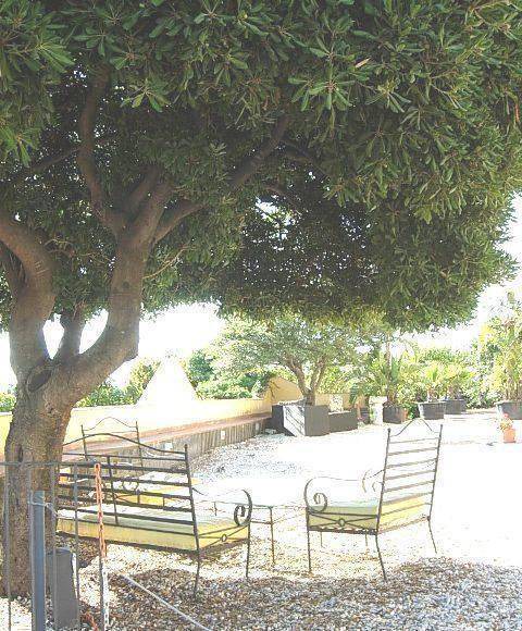 Photo of Others in Fiumefreddo di Sicilia
