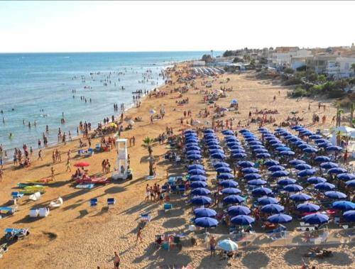 Photo of Others in Castelvetrano