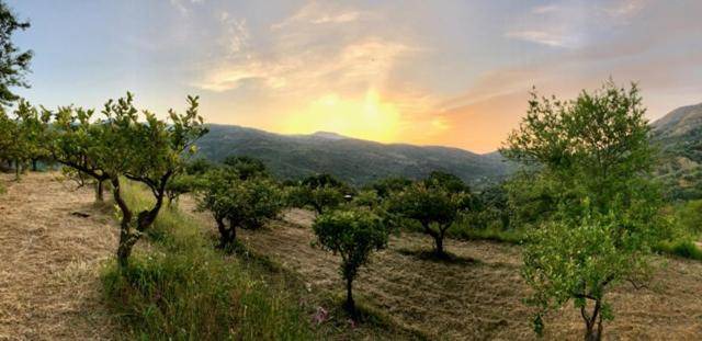 Photo of Others in Pettineo