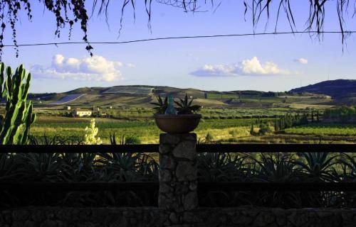 Photo of Others in Campobello di Licata