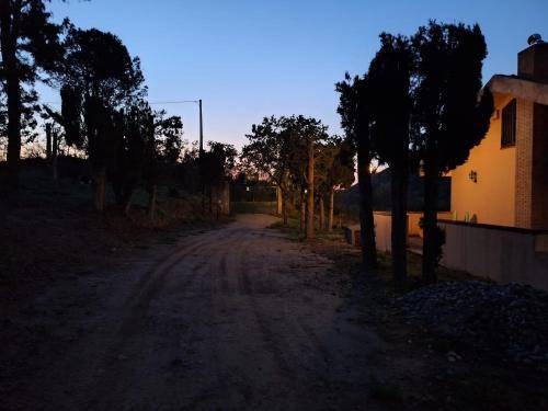 Photo of Others in Province of Messina