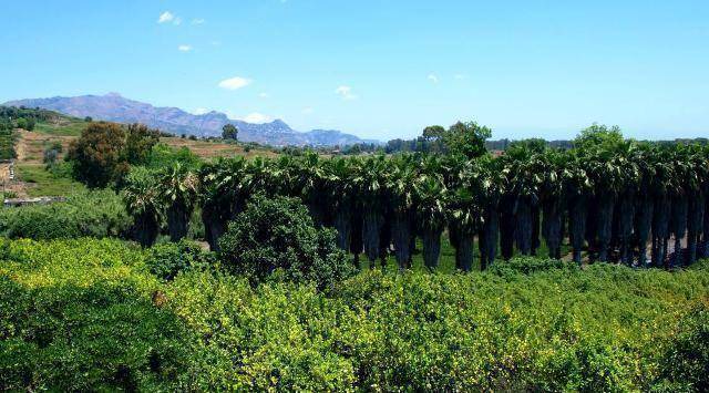 Photo of Others in Fiumefreddo di Sicilia