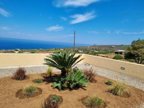 Photo of Others in Pantelleria