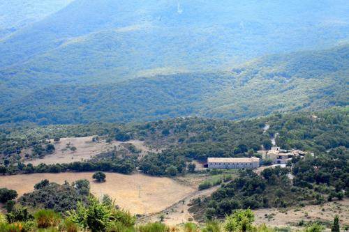 Photo of Others in Madonie National Park