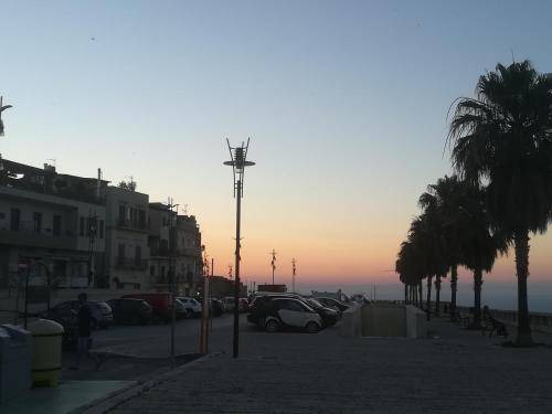 Photo of Others in Alcamo Historic Center