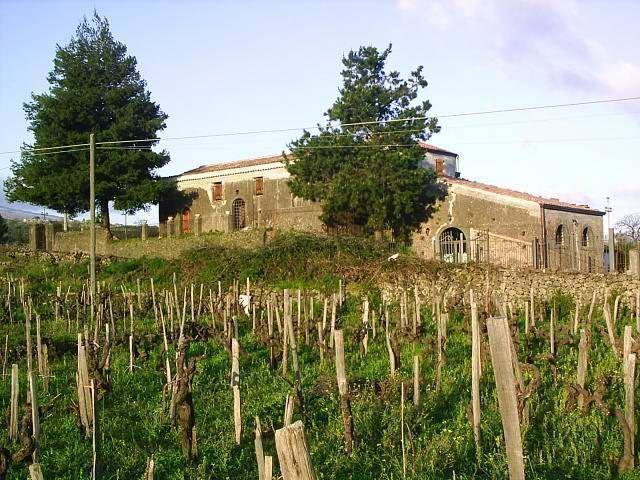 Photo of Others in Castiglione di Sicilia