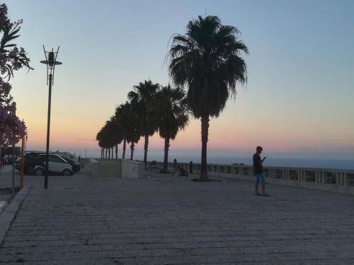 Photo of Others in Alcamo Historic Center