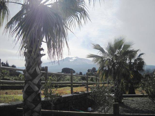 Photo of Others in Fiumefreddo di Sicilia