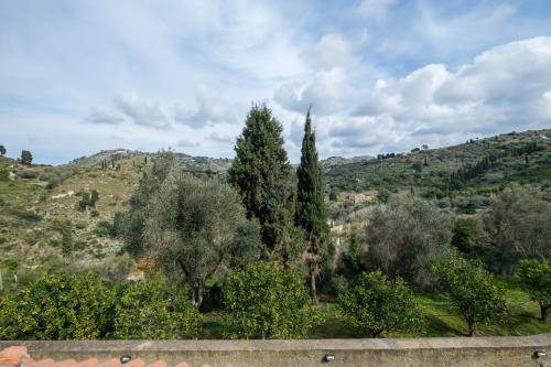 Photo of Others in Province of Messina