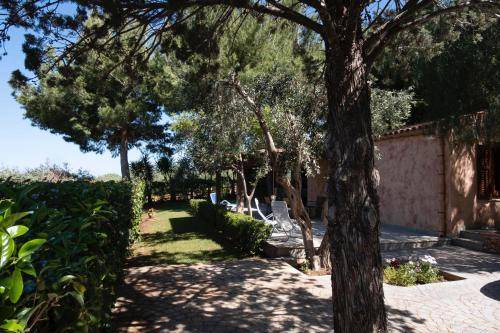 Photo of Others in Castelluzzo