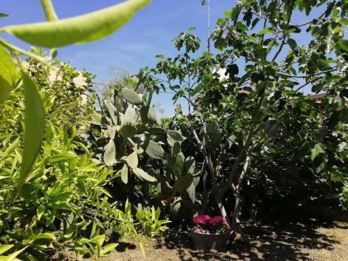 Photo of Outdoor in Contrada Pantano d'Arci