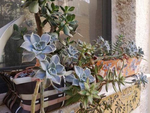 Photo of Others in Alcamo Historic Center