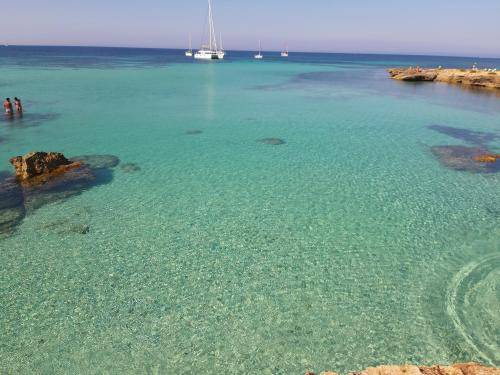 Photo of Others in Trapani