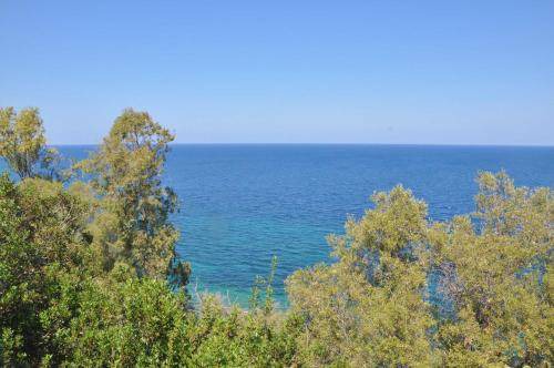 Photo of Others in Milazzo