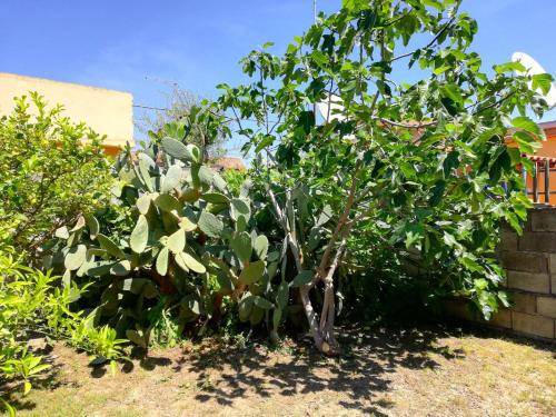 Photo of Outdoor in Contrada Pantano d'Arci