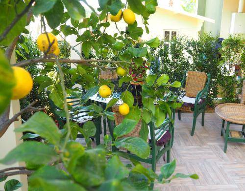 Photo of Others in Villaggio Mose