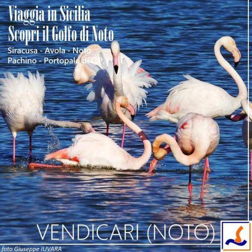 Photo of Others in Portopalo di Capo Passero