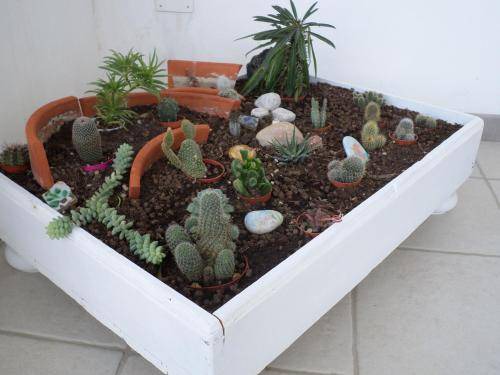 Photo of Others in Lido Manfria