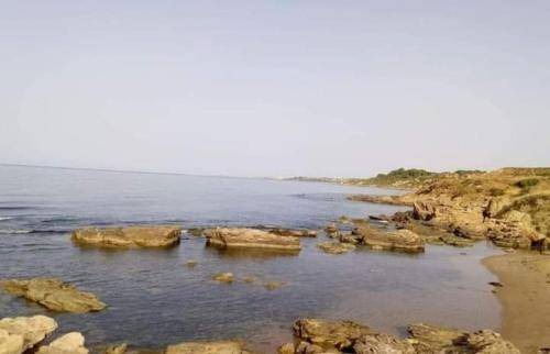Photo of Others in Menfi