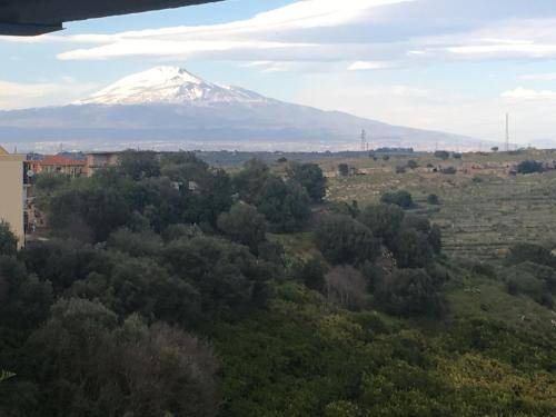 Photo of Outdoor in Carlentini