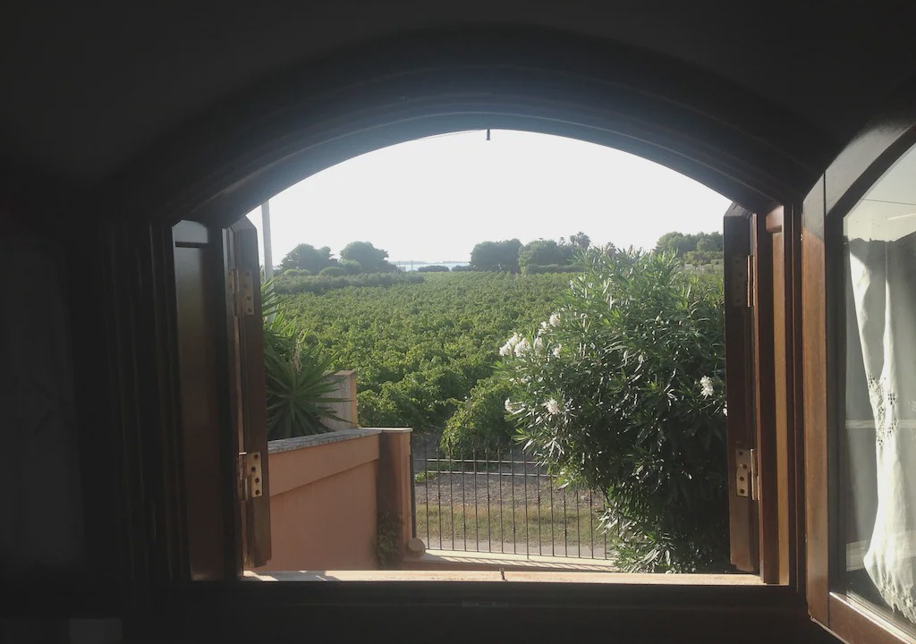 Photo of Others in Marsala