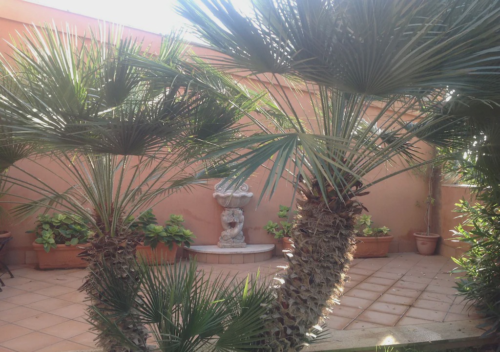 Photo of Others in Marsala