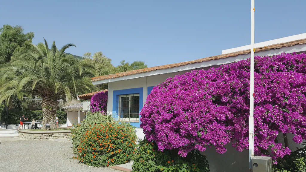 Photo of Buildings in San Giorgio