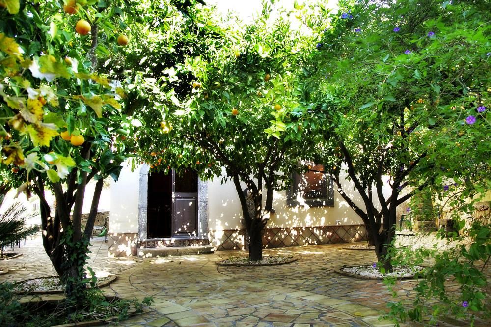 Photo of Buildings in Mitogio
