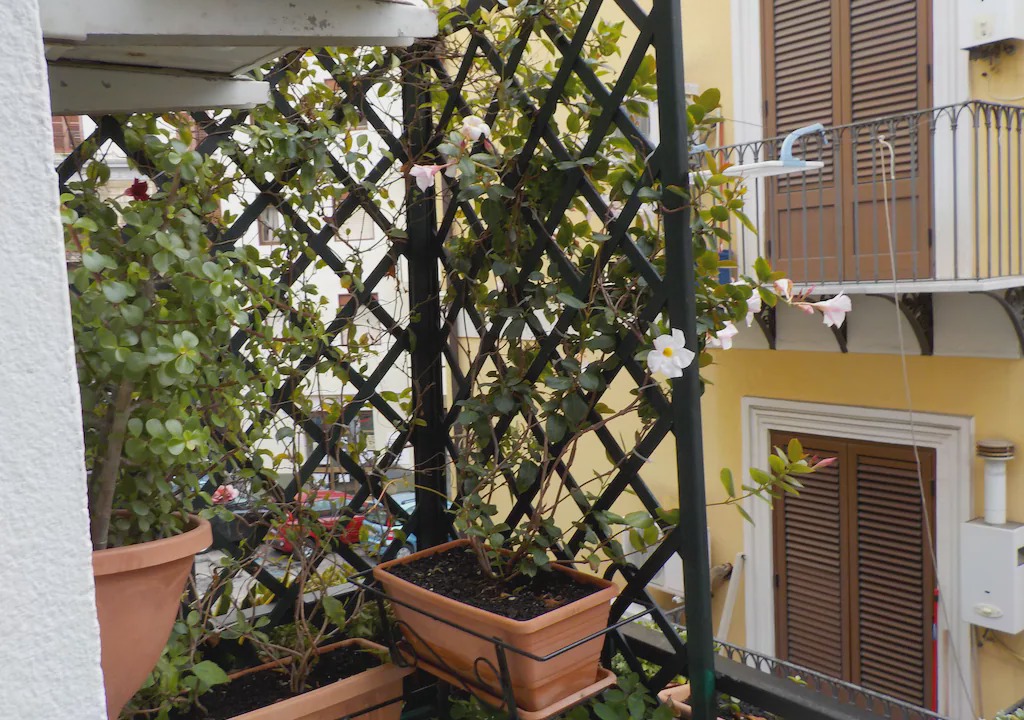 Photo of Others in Ruggero Settimo