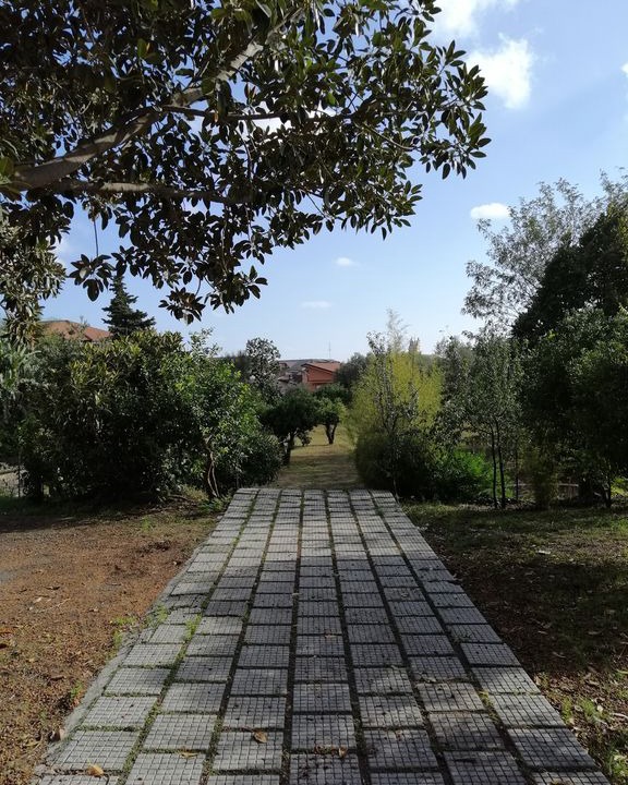 Photo of Others in Sant'Agata Li Battiati