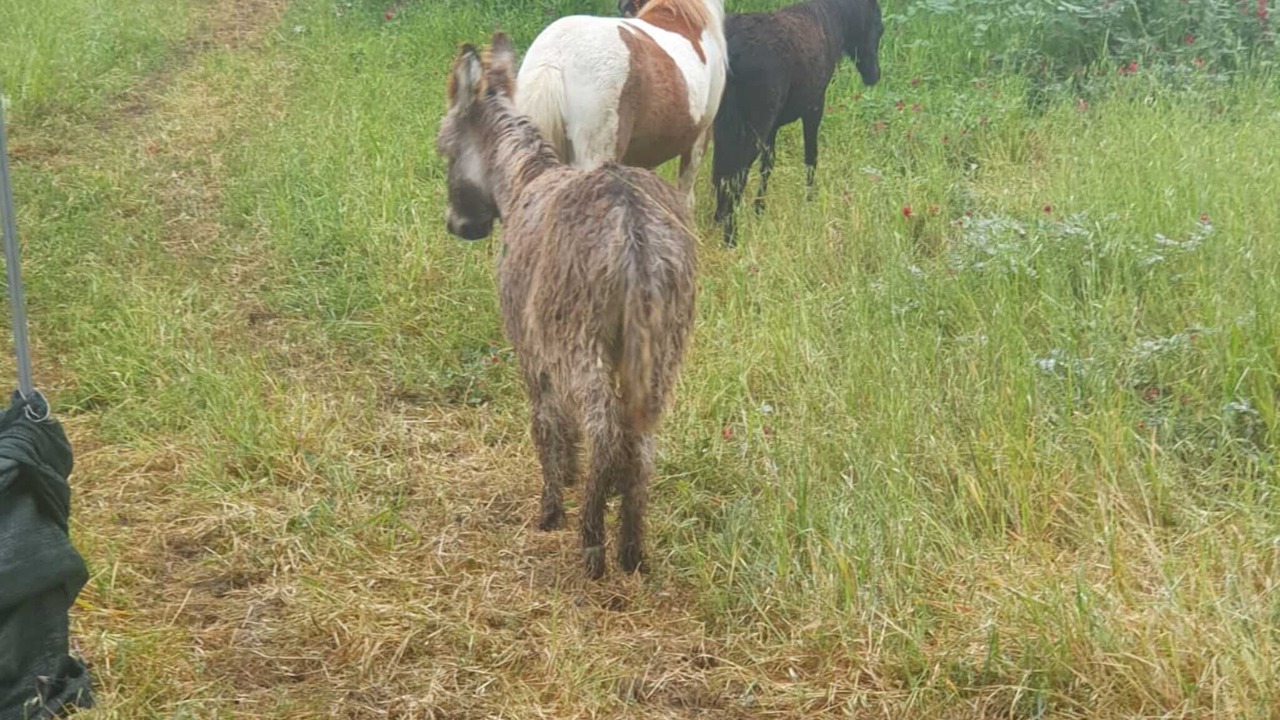 Photo of Outdoor in Villarosa
