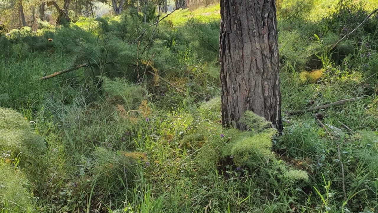 Photo of Outdoor in Villarosa