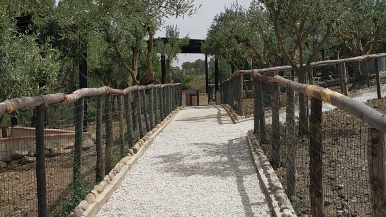 Photo of Outdoor in Villarosa
