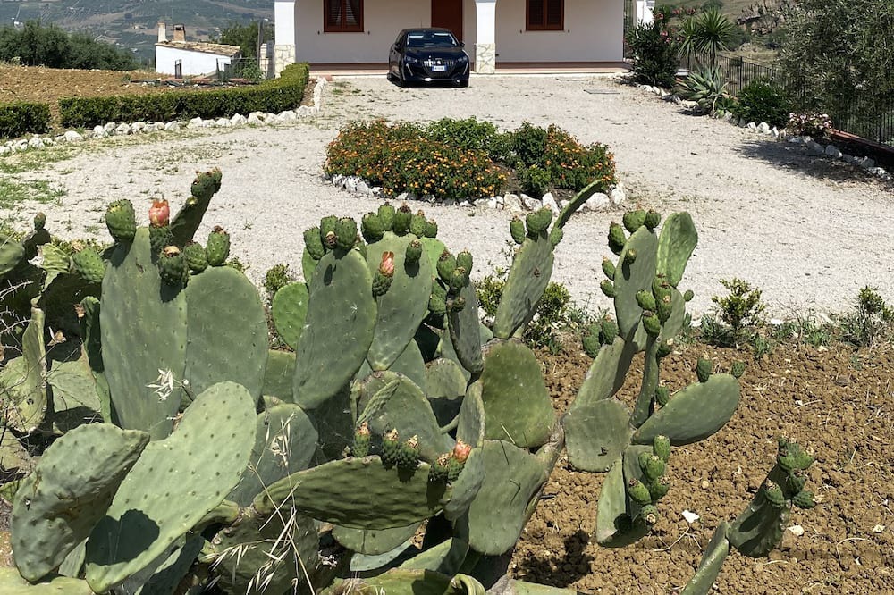 Photo of Outdoor in Misilmeri