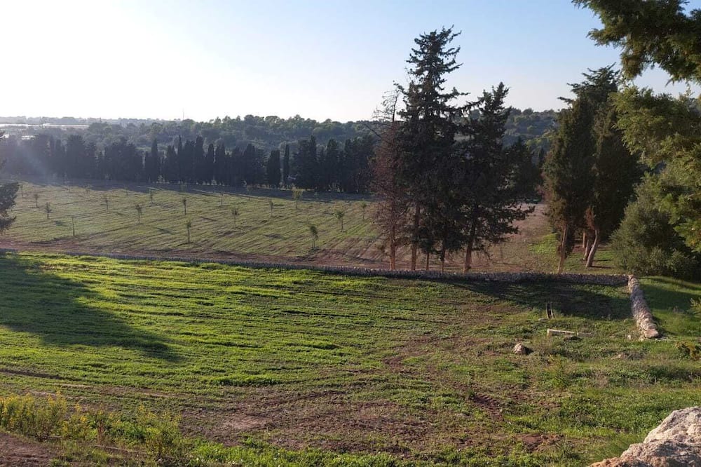 Photo of Others in Vittoria