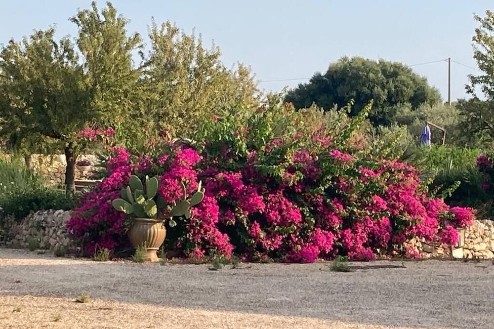 Photo of Outdoor in Vittoria