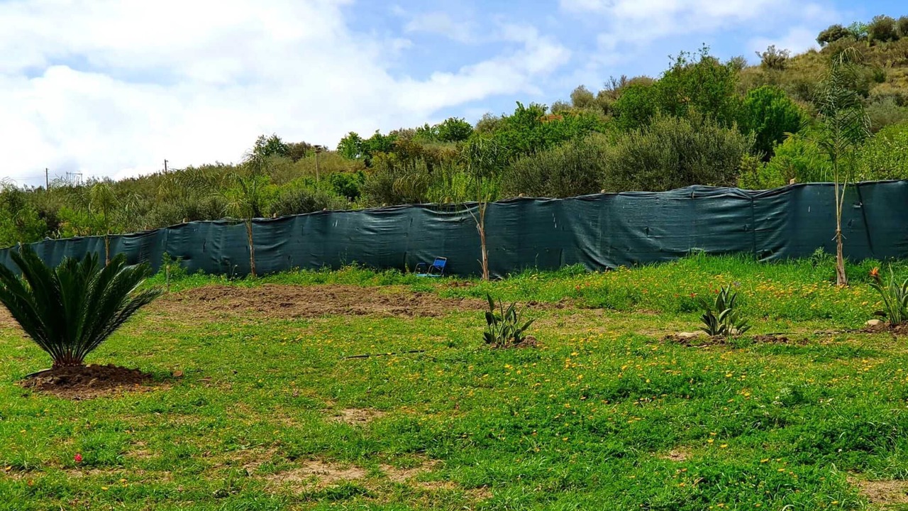Photo of Others in Villarosa
