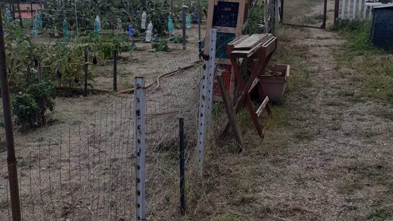 Photo of Outdoor in Mortelle