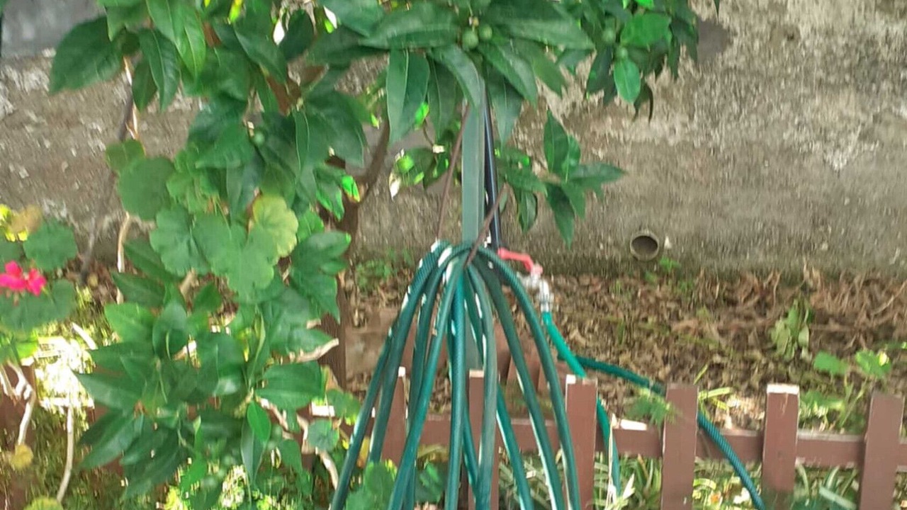 Photo of Outdoor in Mortelle