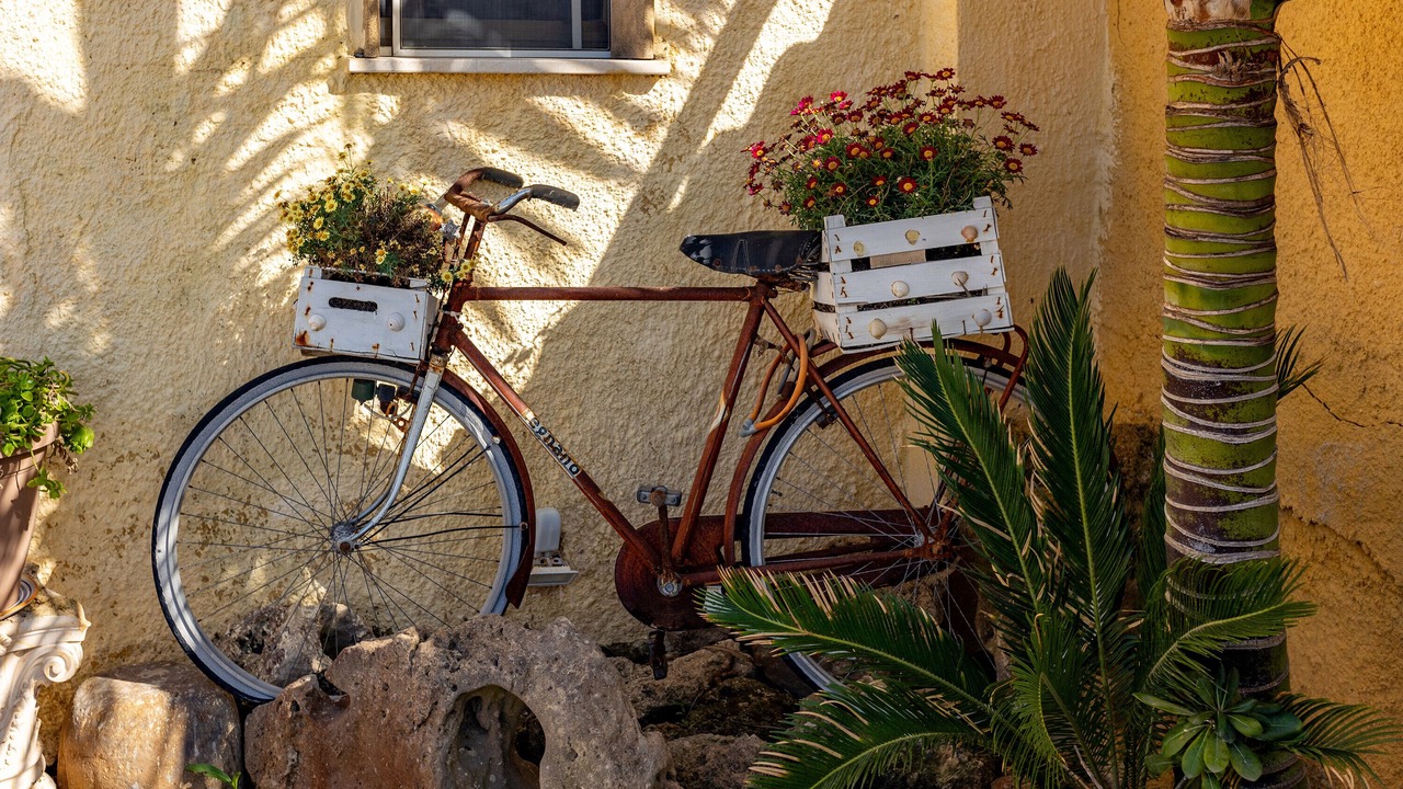 Photo of Outdoor in Marsala