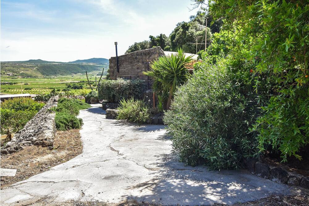 Photo of Outdoor in Kamma