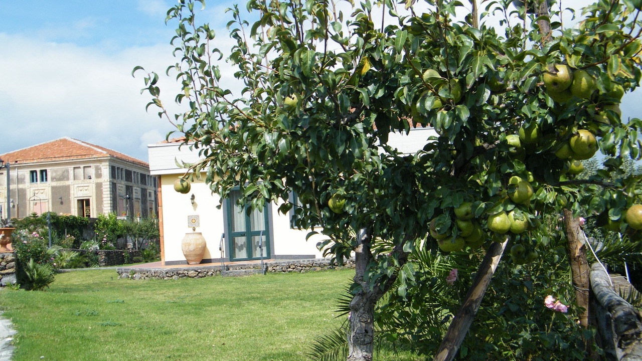 Photo of Outdoor in Passopisciaro