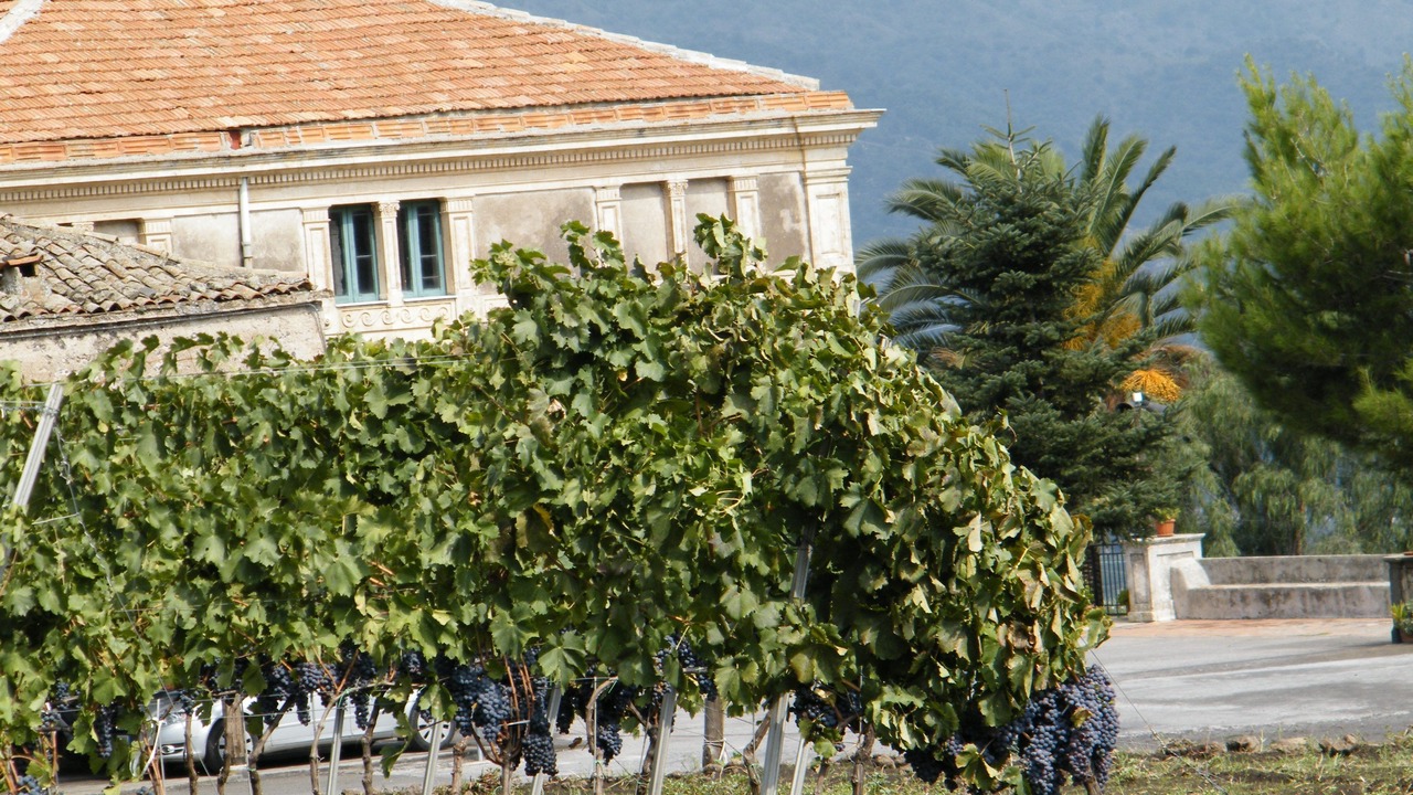 Photo of Outdoor in Passopisciaro