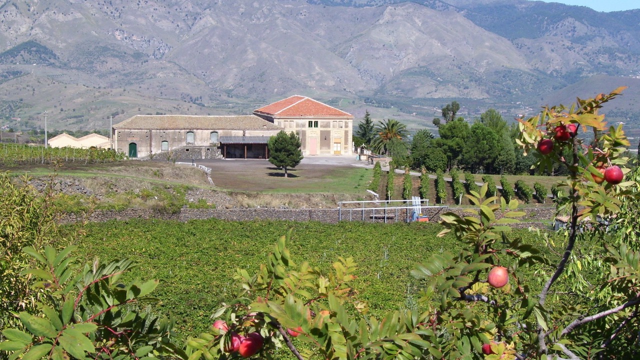 Photo of Outdoor in Passopisciaro