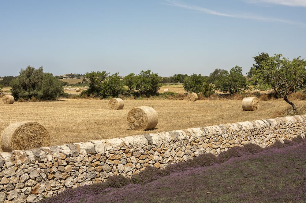 Photo of Outdoor in Ragusa