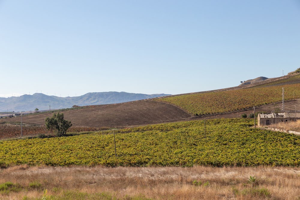 Photo of Outdoor in Calatafimi