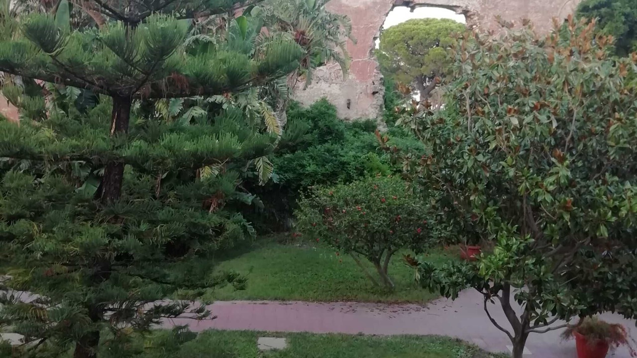 Photo of Outdoor in San Giorgio